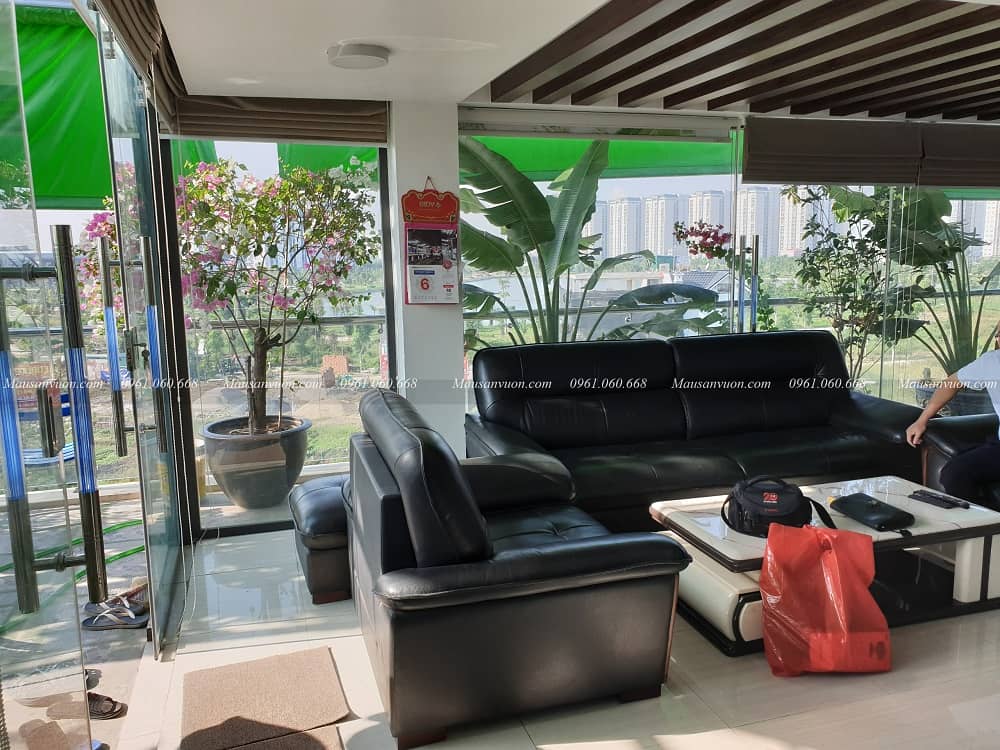 Mẫu hồ cá Koi đẹp