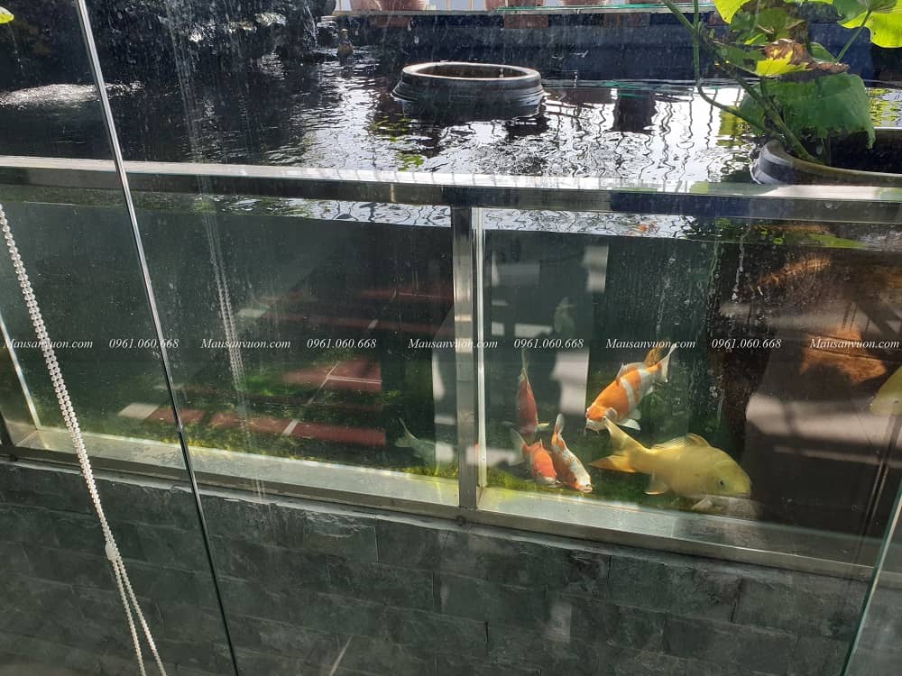 Mẫu hồ cá Koi đẹp