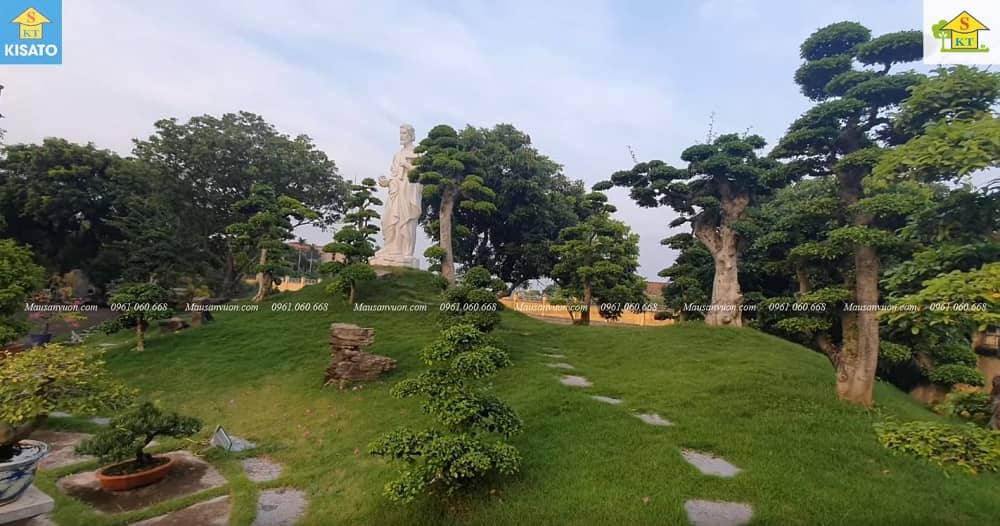 11SSS Mẫu Sân Vườn Đẹp Với Đồi Duối Cổ Độc Nhất Vô Nhị Tại Việt Nam