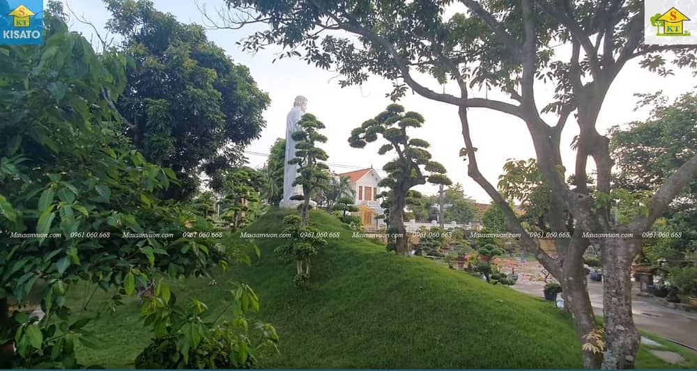 9SSS Mẫu Sân Vườn Đẹp Với Đồi Duối Cổ Độc Nhất Vô Nhị Tại Việt Nam