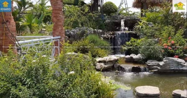 Mẫu Hồ Cá Koi Đẹp Cho Không Gian Sân Vườn Cafe Vườn Ngoài Trời