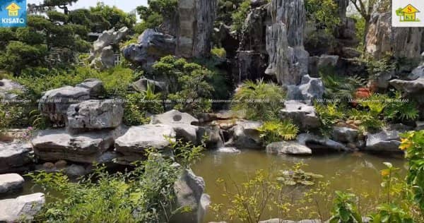 Mẫu Hồ Cá Koi Đẹp Cho Không Gian Sân Vườn Cafe Vườn Ngoài Trời