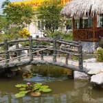 Mẫu Hồ Cá Koi Đẹp Cho Không Gian Sân Vườn Cafe Vườn Ngoài Trời 7