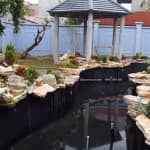 Mẫu Hồ Cá Koi Đẹp Do VIZENTO Thi Công Trọn Gói Tại Sóc Sơn Hà Nội 7