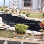 Mẫu Hồ Cá Koi Đẹp Do VIZENTO Thi Công Trọn Gói Tại Sóc Sơn Hà Nội 9