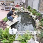 Mẫu Hồ Cá Koi Đẹp Do Kisato Thiết Kế Và Thi Công Tại Bắc Ninh