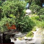Mẫu Sân Vườn Đẹp Không Gian Xanh Mát Cho Quán Cafe