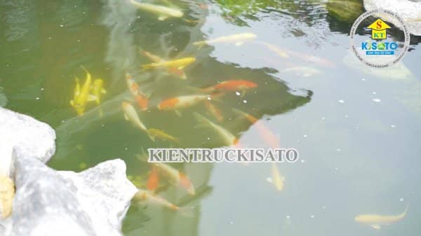 Bí Mật Khiến Mẫu Sân Vườn Lọt Top[1+] Đẹp Vạn Người Mê