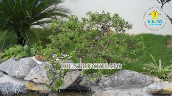 Bí Mật Khiến Mẫu Sân Vườn Lọt Top[1+] Đẹp Vạn Người Mê