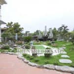 Bí Mật Khiến Mẫu Sân Vườn Lọt Top[1+] Đẹp Vạn Người Mê 3
