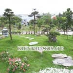 Bí Mật Khiến Mẫu Sân Vườn Lọt Top[1+] Đẹp Vạn Người Mê 6
