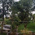 Mẫu Sân Vườn Đẹp Với Đồi Duối Cổ Độc Nhất Vô Nhị Tại Việt Nam 12