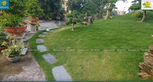 Mẫu Sân Vườn Đẹp Với Đồi Duối Cổ Độc Nhất Vô Nhị Tại Việt Nam