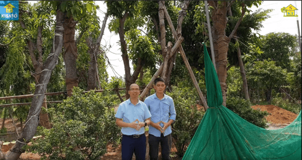 Mẫu Sân Vườn Sẽ Đẹp Hơn Khi Trong Vườn Có Cây Tường Vi